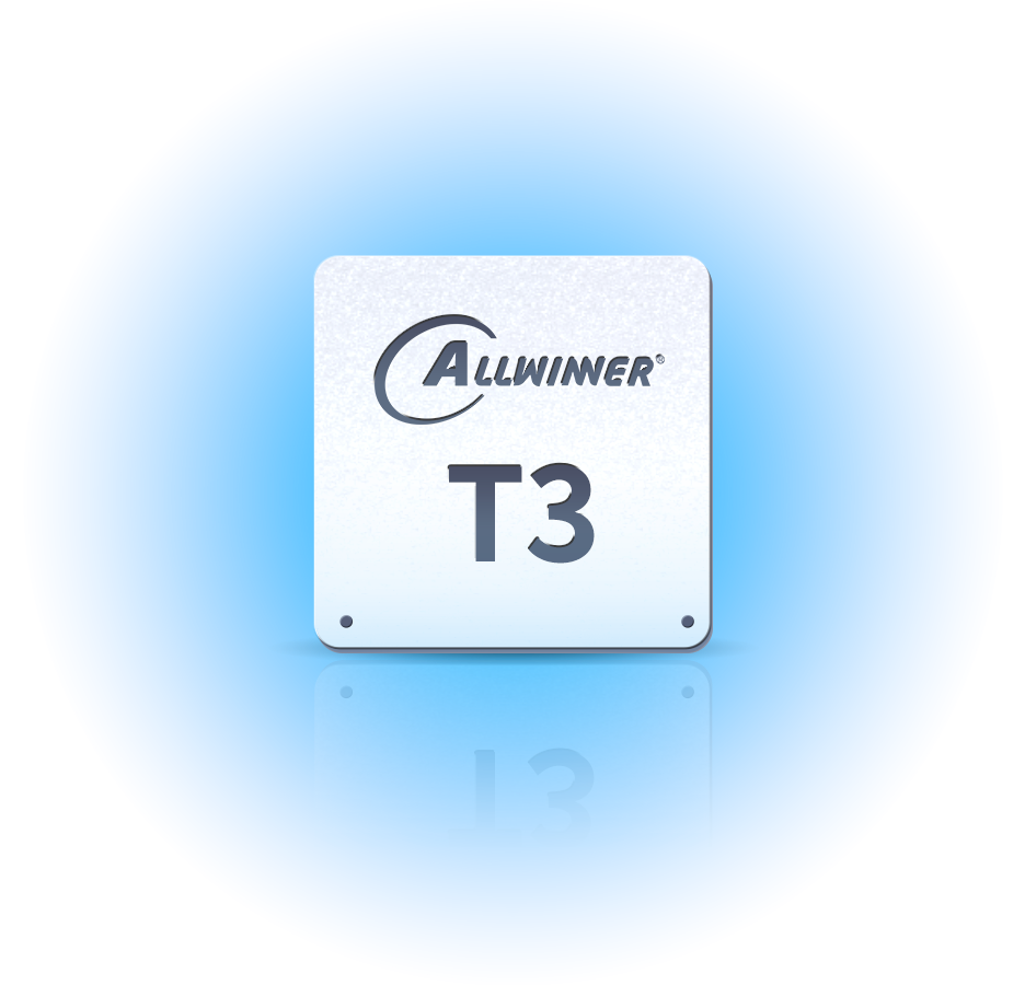 T3