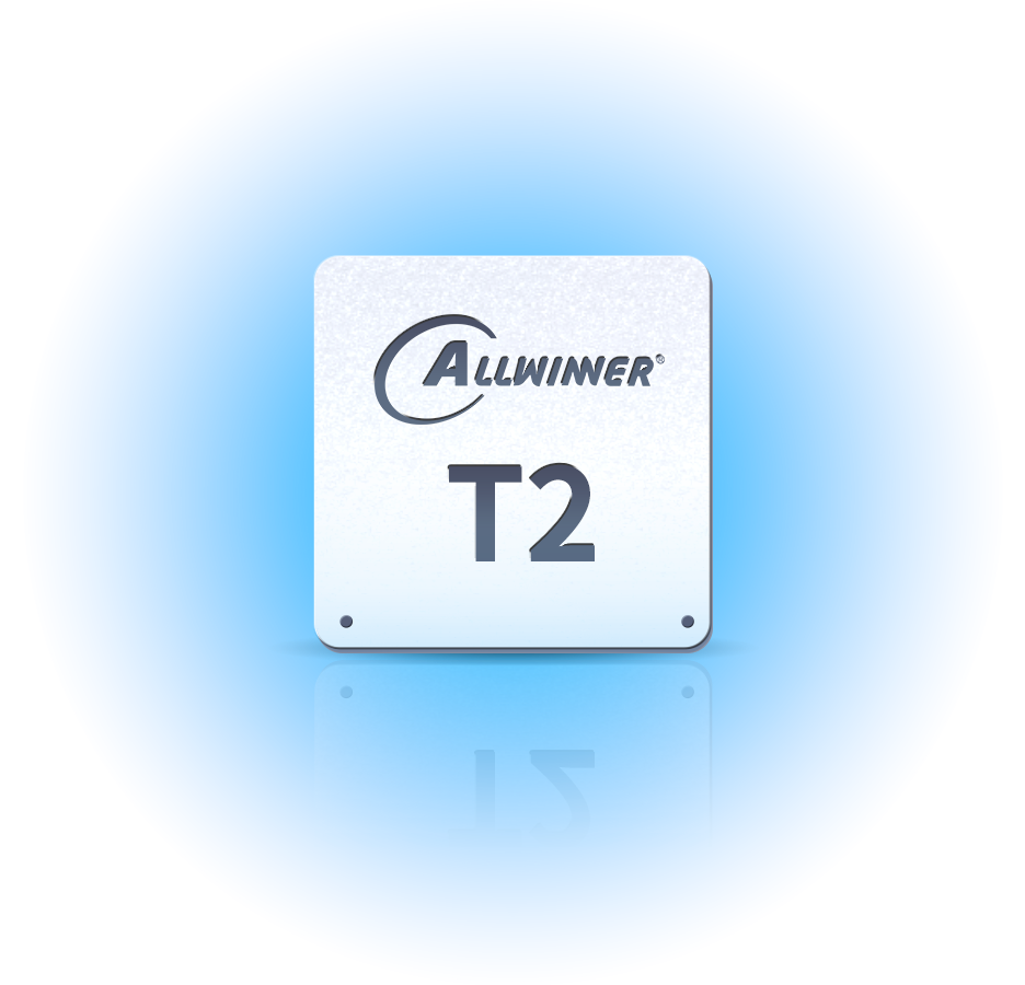 T2