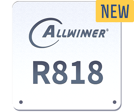 R818