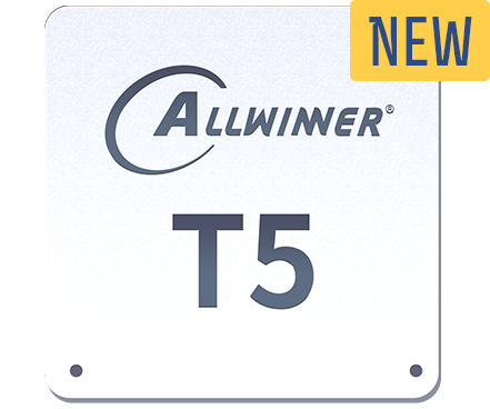 T5