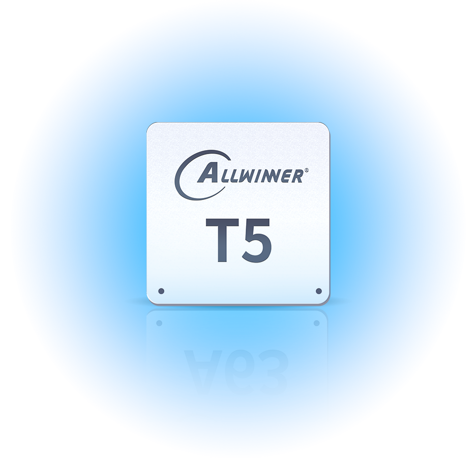 T5
